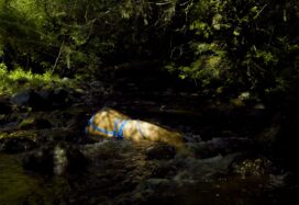 Kowkulen (Liquid Being) 2020