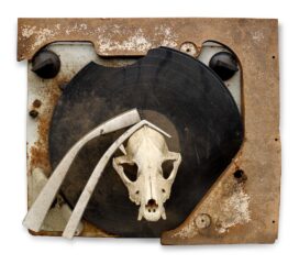 Keeping a Record of It (Harmful Music) 1986